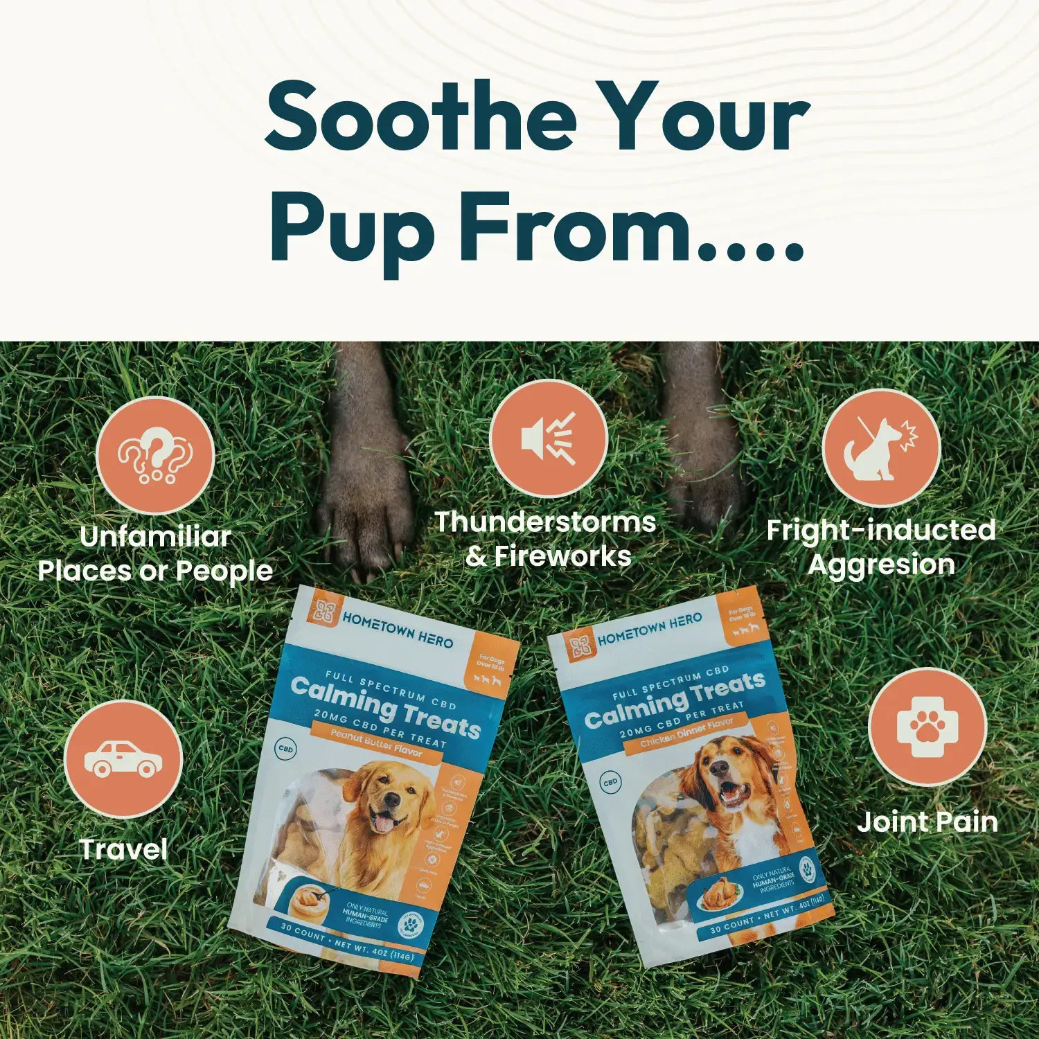 benefits of cbd for dogs infographic