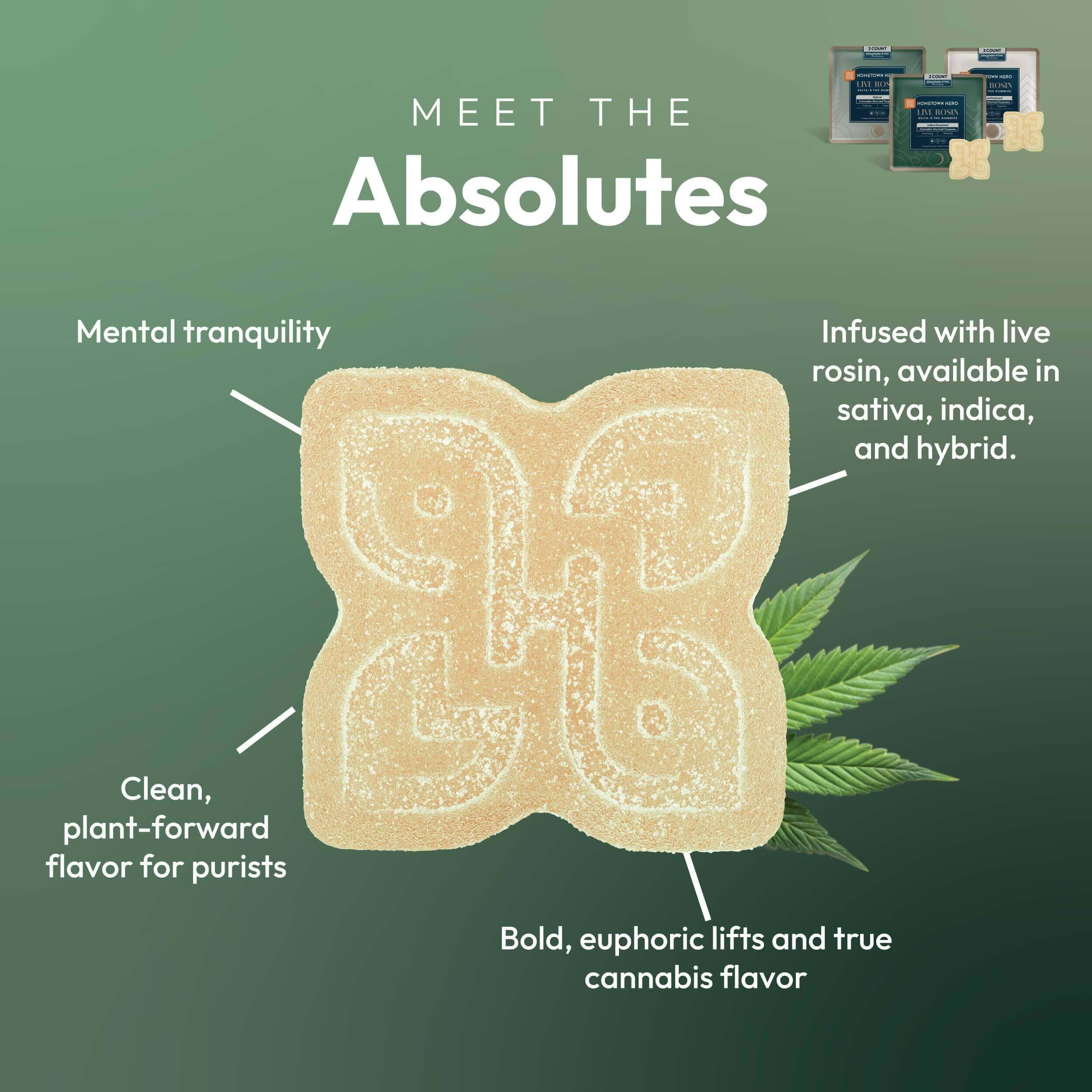 absolutes gummies infographic