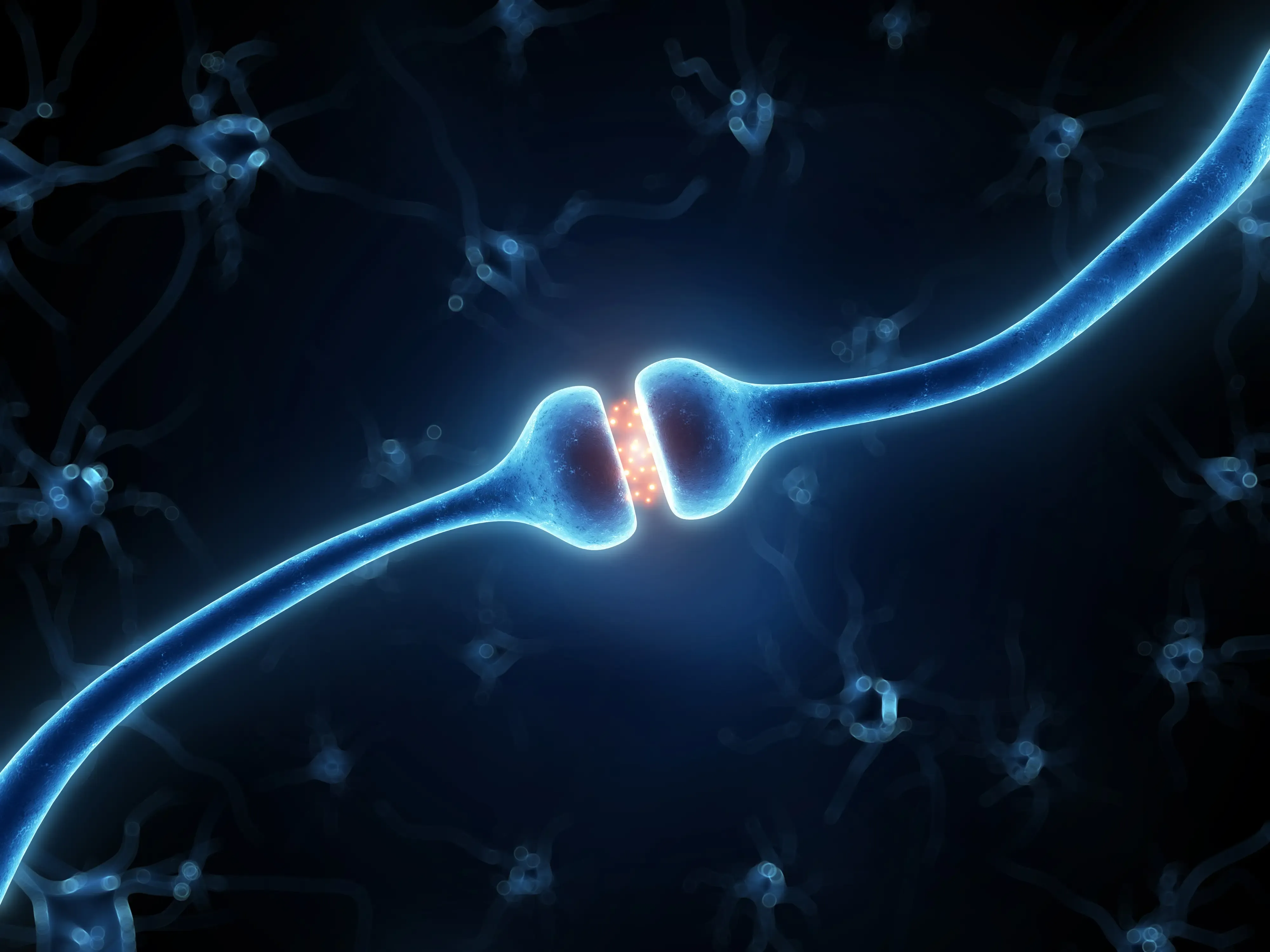 active cannabinoid receptor
