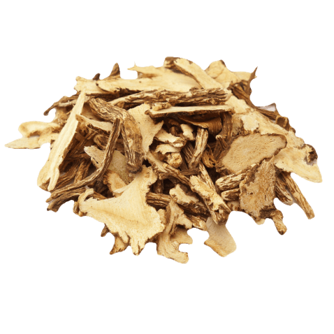 dong quai root