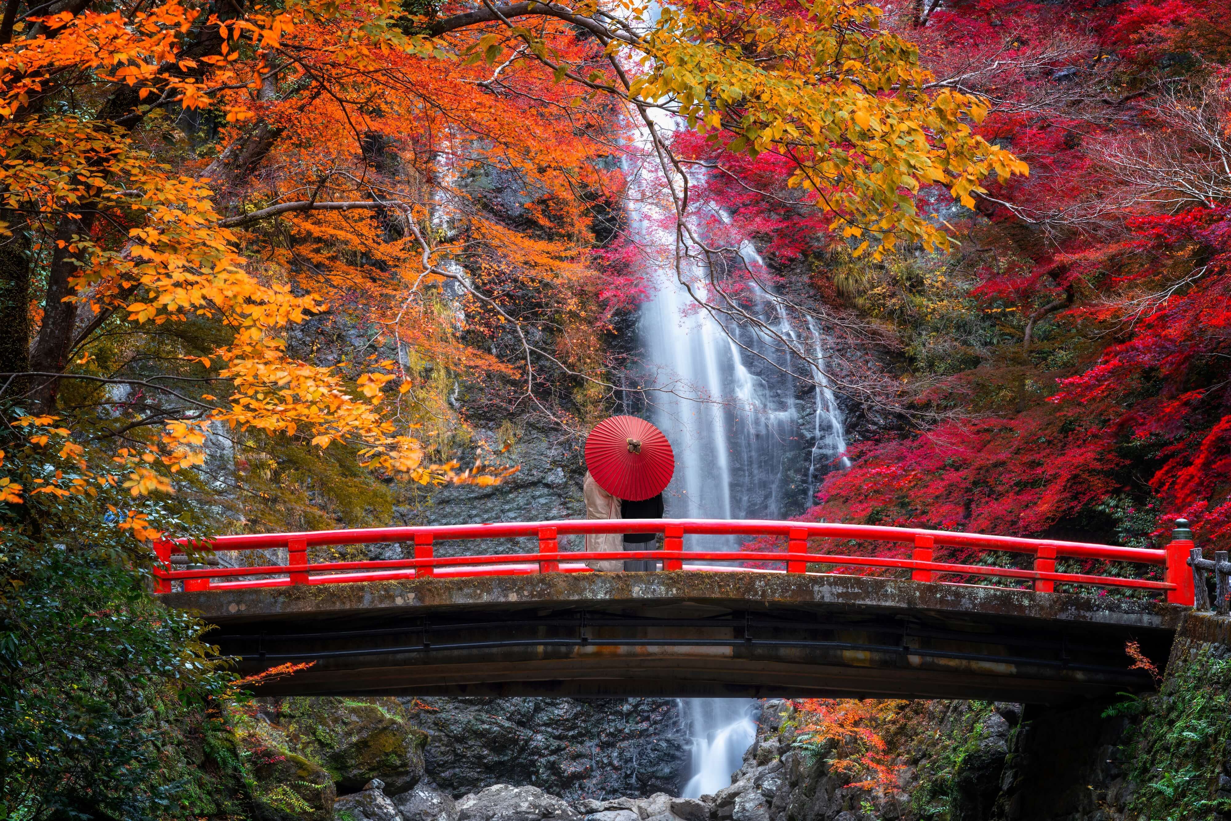 couple in japan enjoying the minoh waterfall on a bridge