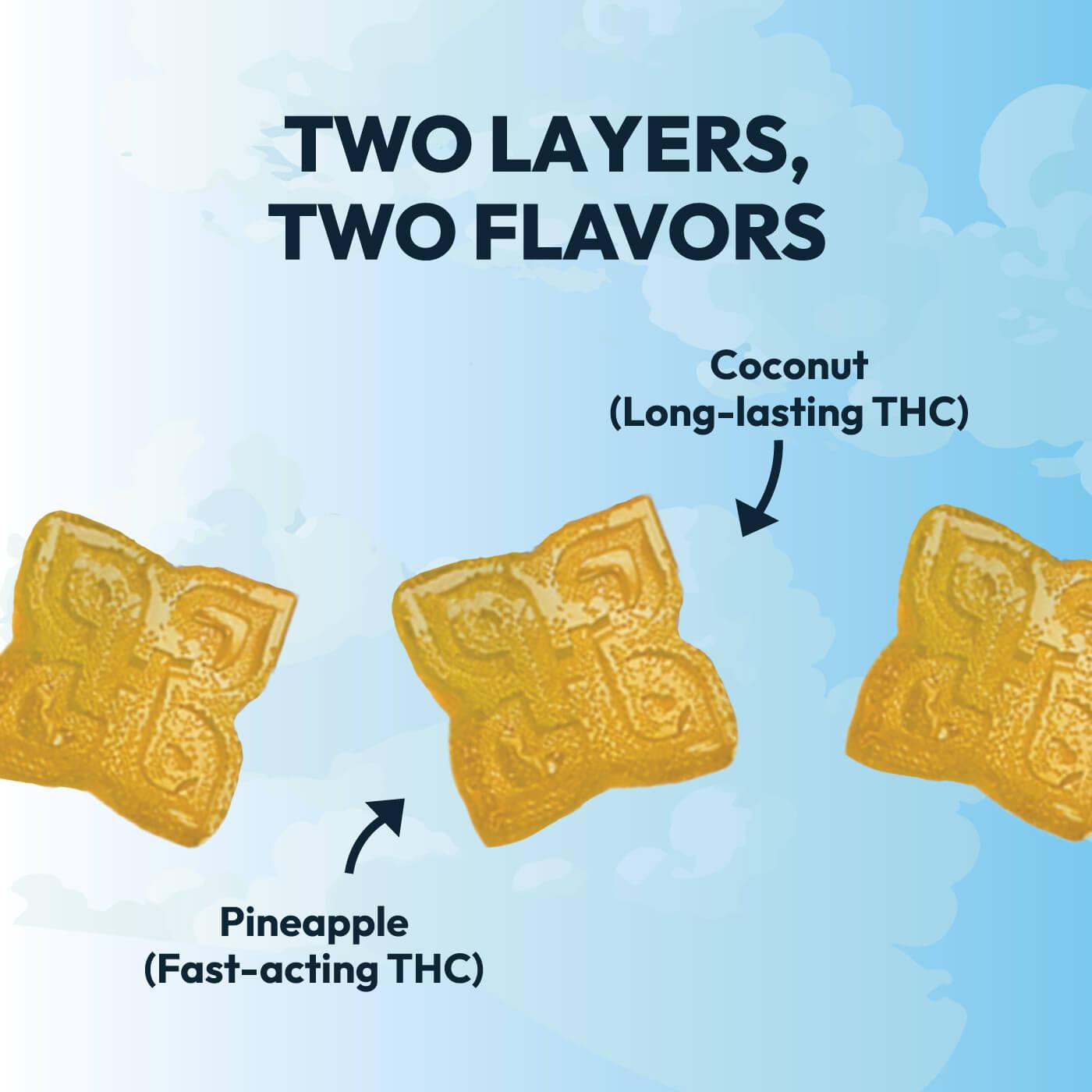 two layers infographic